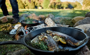 Wild Fisheries
